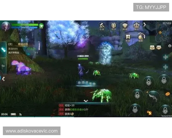 问鼎客户端如何设置最佳游戏画质与性能平衡实现视觉享受与流畅体验的双赢