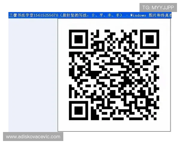 问鼎官网地址查询指南，提供最全面的官方入口信息和访问技巧